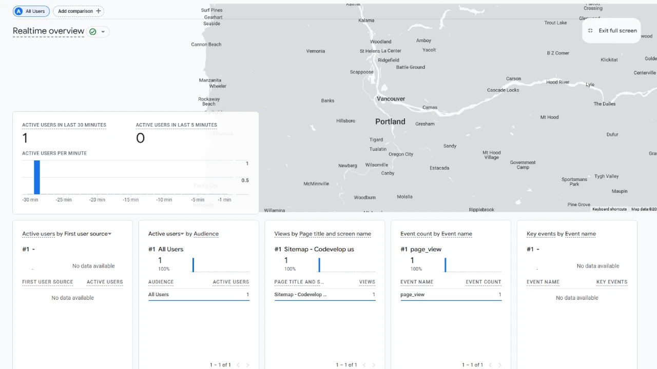 google-analytics-real-time-view