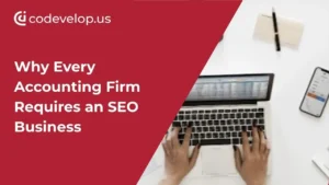 why-every-acountant-firm-requires-seo