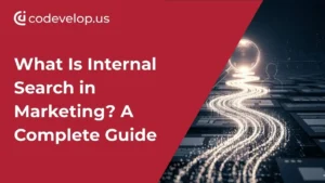 what-is-internal-search